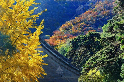 戒臺(tái)寺團(tuán)建與文化之旅 預(yù)算規(guī)劃與活動(dòng)策劃全解析